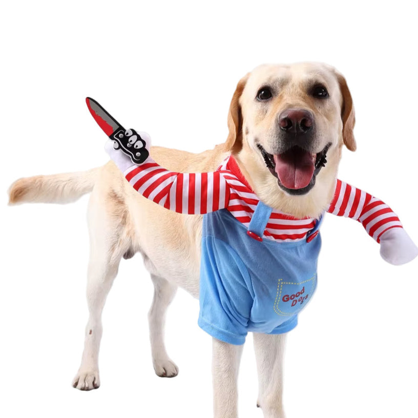 Chucky Hundekostüm für Halloween! Lustig & gruselig, perfekt für Hunde & Katzen. Süßes Cosplay-Outfit für Partys & Fotoshootings.