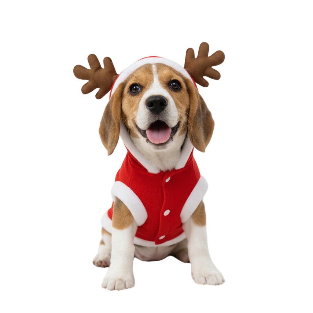 Kuscheliger Weihnachts-Hundepullover aus Fleece mit Kapuze, Motive Santa oder Weihnachtsbaum. Warm, leicht, ideal für kleine Hunde. Jetzt entdecken!
