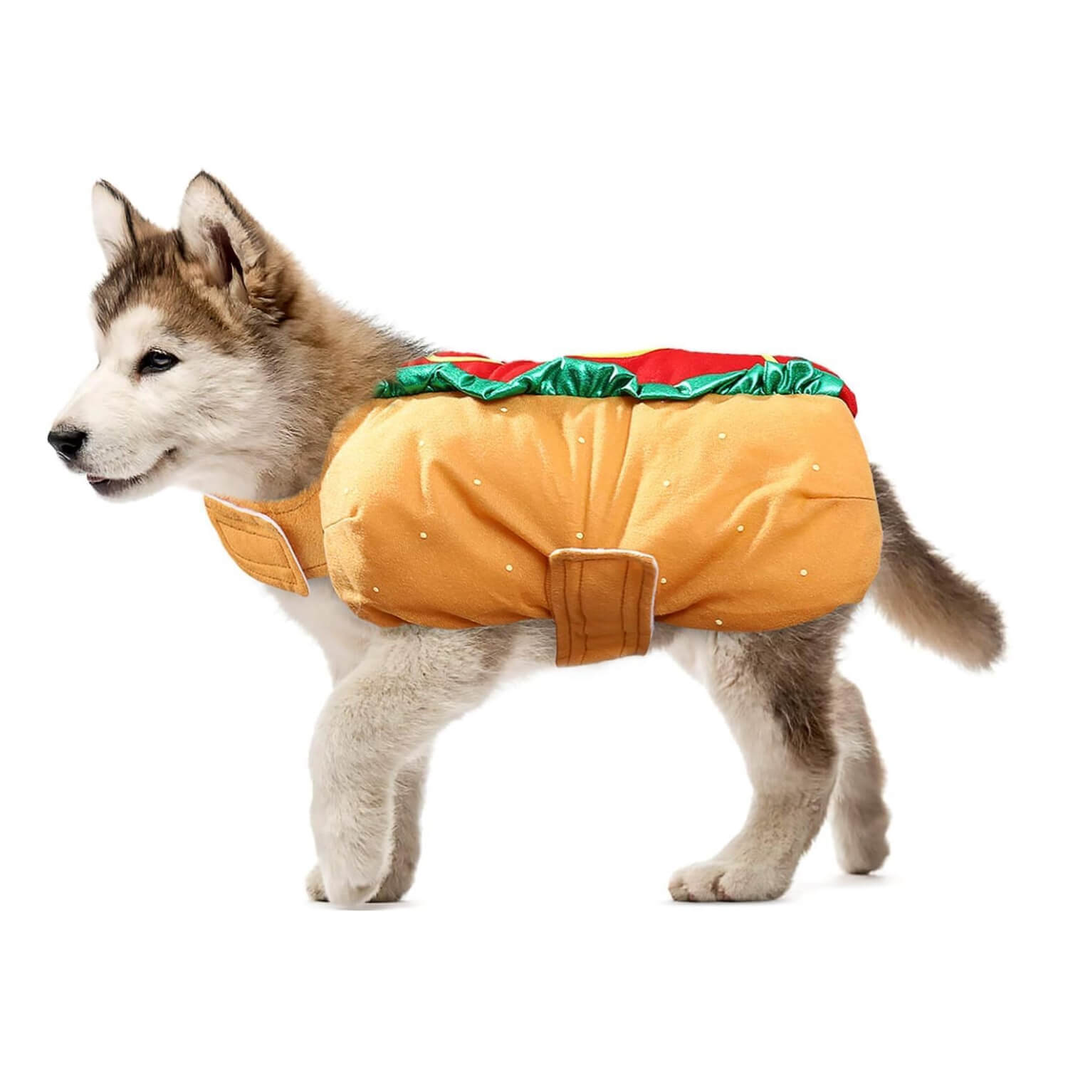 Haustierkostüm Hot Dog-förmige Dackelwurst Verstellbare Kleidung Lustiger Wärmer für Welpen, Hunde und Katzen