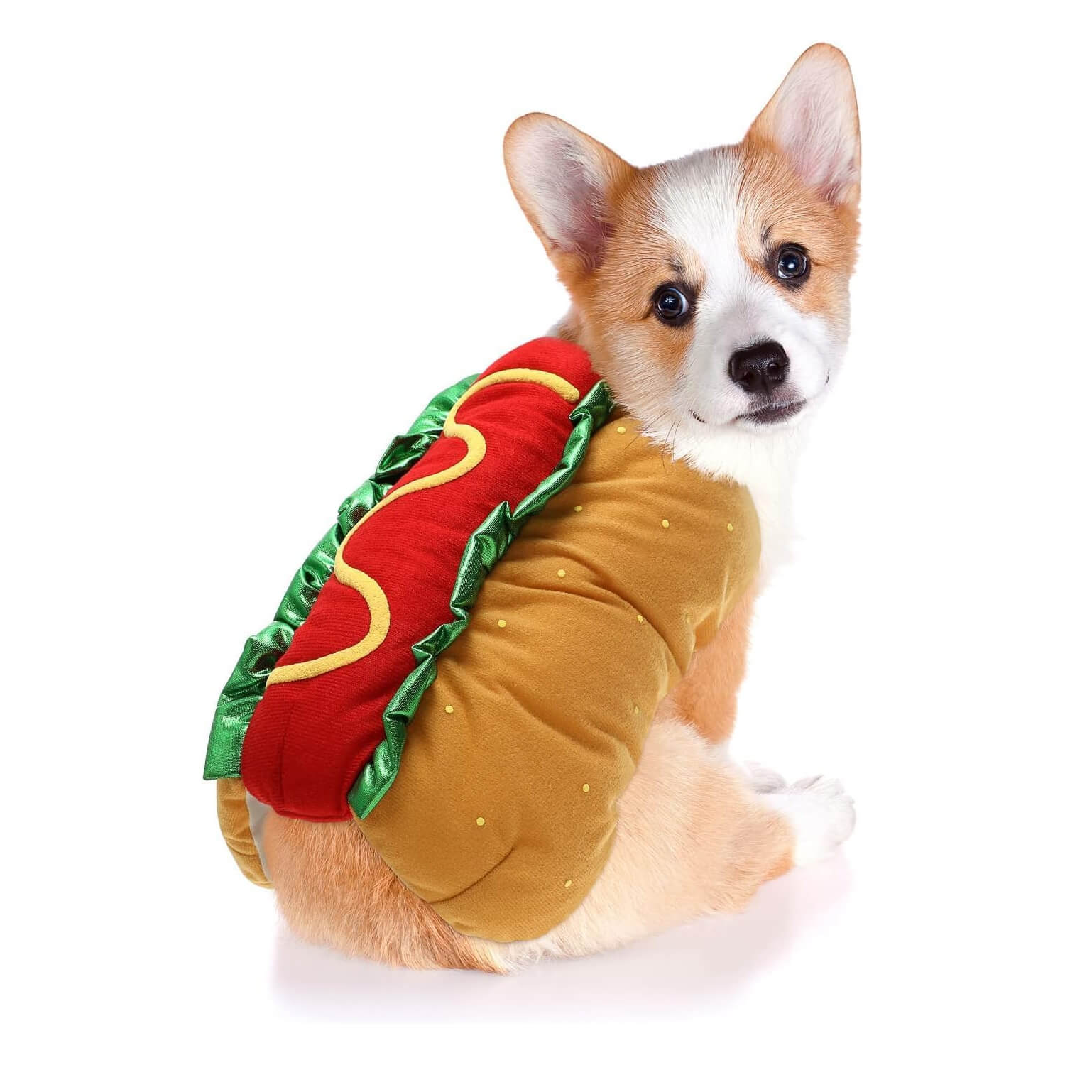 Haustierkostüm Hot Dog-förmige Dackelwurst Verstellbare Kleidung Lustiger Wärmer für Welpen, Hunde und Katzen