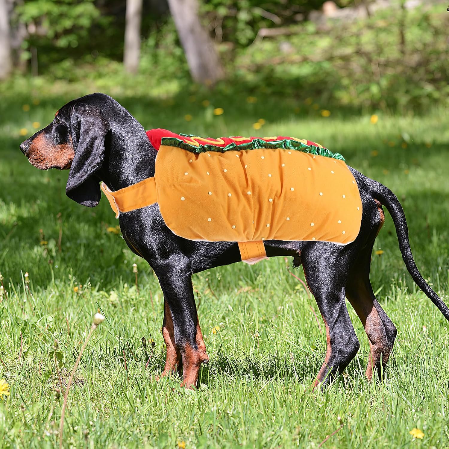 Haustierkostüm Hot Dog-förmige Dackelwurst Verstellbare Kleidung Lustiger Wärmer für Welpen, Hunde und Katzen
