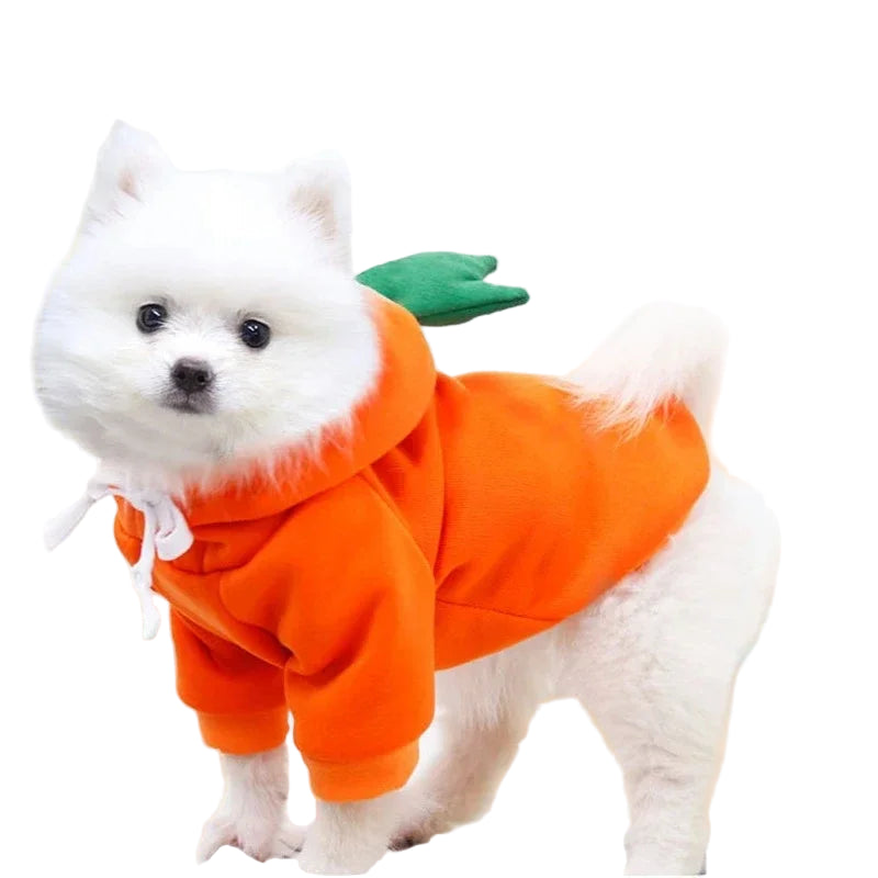 Süßer Fleece-Hoodie für kleine Hunde – warmes Outfit für Welpen & Haustiere